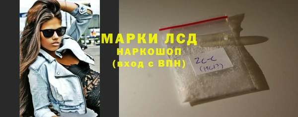 ПСИЛОЦИБИНОВЫЕ ГРИБЫ Богданович