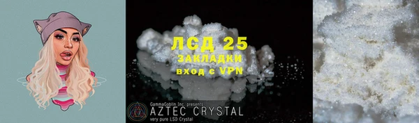 ПСИЛОЦИБИНОВЫЕ ГРИБЫ Богданович