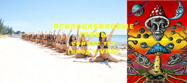 хмурый Богородицк