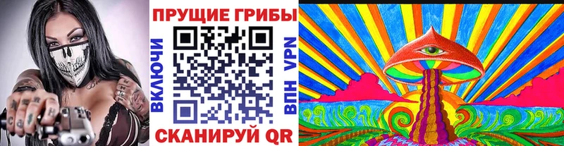 магазин    Богородицк  Галлюциногенные грибы мухоморы 