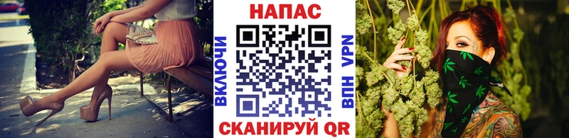 МАРИХУАНА сатива  купить  сайты  Богородицк 